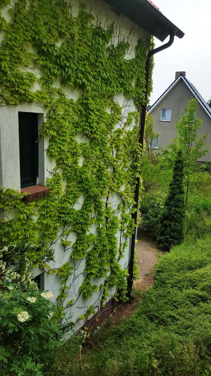 Haus Seefeld Uckeritz